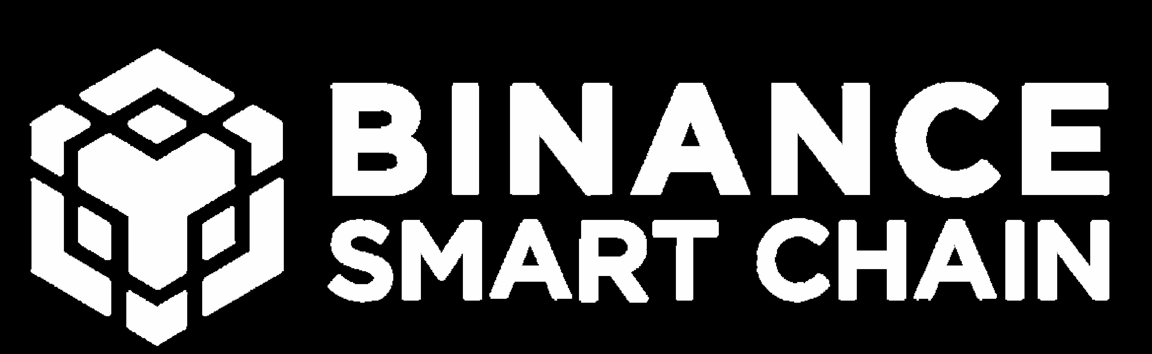 Binance Smart Chain